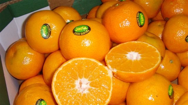 Image result for jaffa oranges